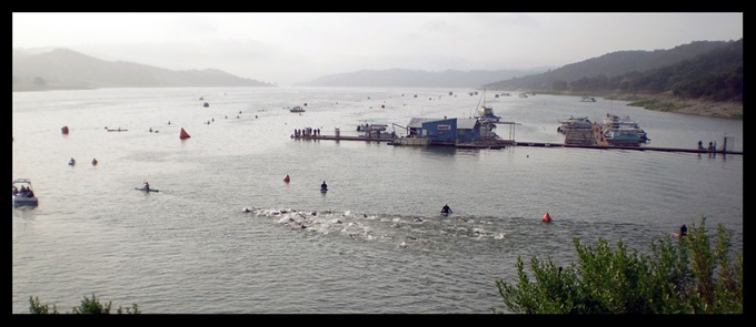 Professional Men Swimmers