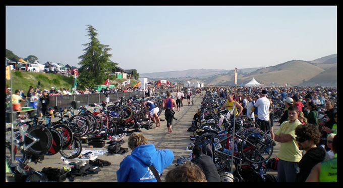 Professional Men Transition