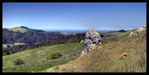 Highway One and the California coast