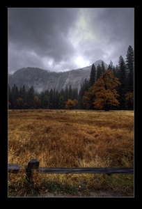 Yosemite National Park