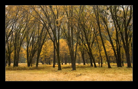 Yosemite National Park