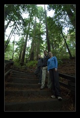 Muir Woods
