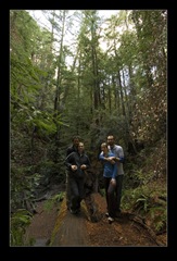 Muir Woods