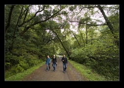 Point Reyes National Seashore