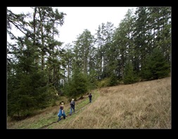 Point Reyes National Seashore