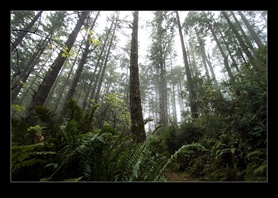 Point Reyes National Seashore