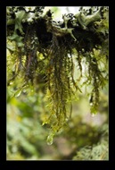 Point Reyes National Seashore