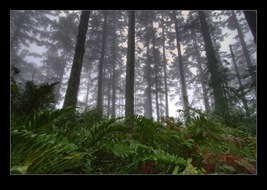 Point Reyes National Seashore