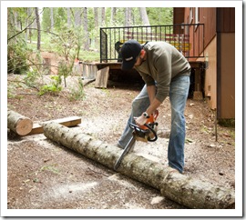 Sam getting stuck into some problem trees