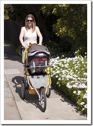 First outing with the Bob stroller/pram