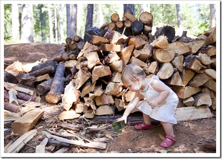 Helping Dad stack the wood pile