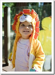 I'm going to be a lion for Halloween!