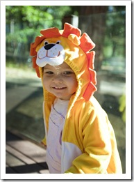 I'm going to be a lion for Halloween!