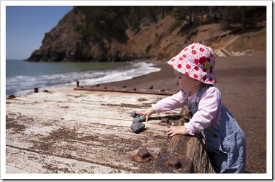 Captivated by some salty-tasting rocks